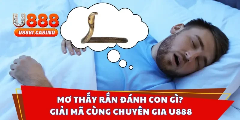 mơ thấy rắn đánh con gì